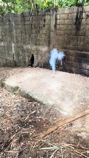 Eagle Whistle Bomb Sound of Eagle #fireworks #pyro #crackers