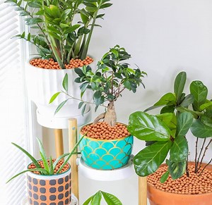 [Hot Item] Factory Directly Lightweight Expanded Clay Aggregate Growing Media