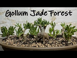 Making Gollum Jade Bonsai Forest || Bonsai Jade Forest