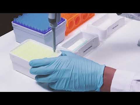 Bio-Shield Histamine | ELISA kit | for Fish & Seafood