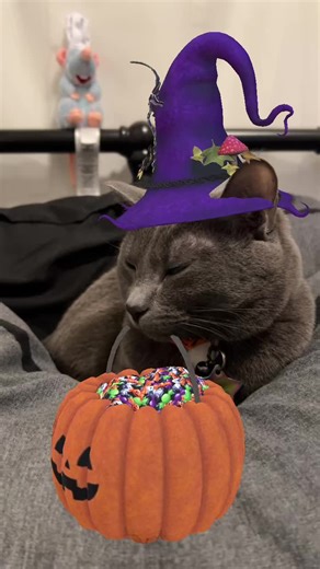 spacer69 (@spacer69)’s videos with Trick or treat - user154628229