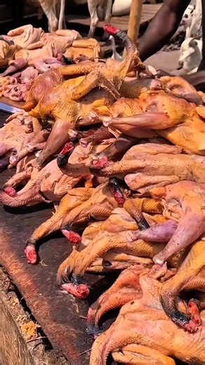 Smoked Guinea Fowl Magic! 😋 From Farm to Fork: Poultry Processing #viralvideo #poultryfarming #food