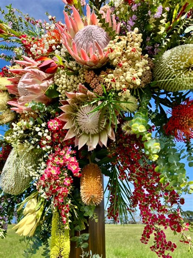 2.9K views · 69 reactions | ~King Protea & Native Wedding Arbor for this country Wedding of the lovely E & S on a smashing November Day. The colours are pretty soft pastels - against the lush green grass paddocks - ladies bridal dresses - men’s beige jackets!! Excited to share~ #floristcolac #flowerscolac #colacflorist #colacweddingflowers #purnimwestwedding #lorneflorist #greatoceanroadflorist #apollobayflorist | Janelle Bond Flowers | Facebook