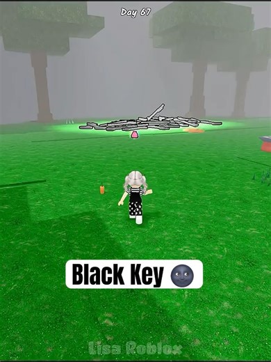 Can The Black Key Burn? 🗝️😧💖 #lisaroblox #roblox #99nightintheforest #usa