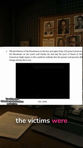 Bloodstain Patterns Reveal What Police Missed #Idaho4 #ForensicEvidence #TrueCrimeBreakdown