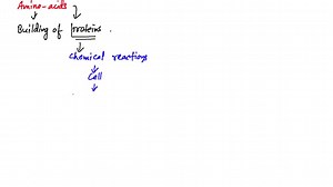 SOLVED:Describe the components of a comprehensive nutritional assessment.