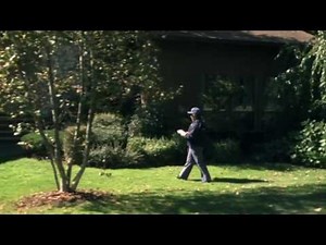 Broken Flowers (2005) Ita