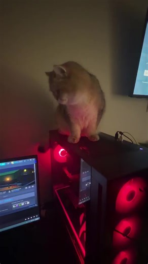 #fyp #pcgaming #gaming | get the off the pc washington