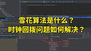 【Java面试】字节一面：雪花算法是什么？时间回拨问题如何解决？_哔哩哔哩_bilibili