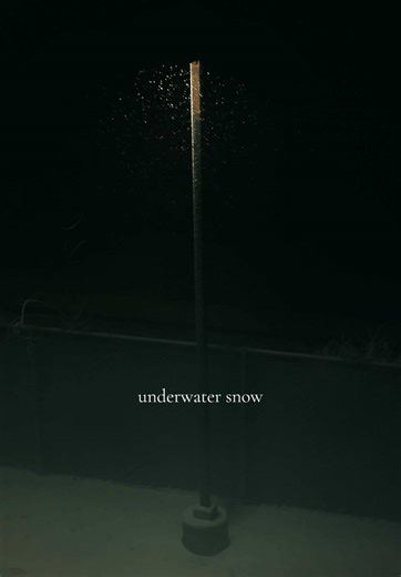 Ever seen underwater snow before? #winter #blizzard #snow