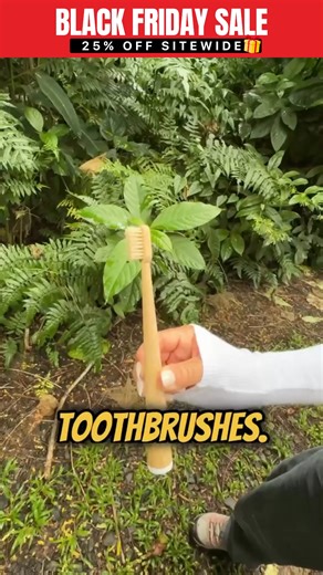 🔥 BLACK FRIDAY SALE - 25% OFF SITEWIDE Get the 3-Box Bundle and receive: 💚 FREE 1-Month Supply of Fluoride-Free Toothpaste Tablets 💚 FREE 100% Pure Copper Tongue Scraper 💚 FREE Microplastic Detox Guide 💚 FREE Shipping This is the only sale we do all year. But let me tell you why this matters — because this shocked me too. Your toothbrush is made from crude oil. And it's releasing 88,000 microplastic particles into your bloodstream every year. Most people never think about what their toothbr