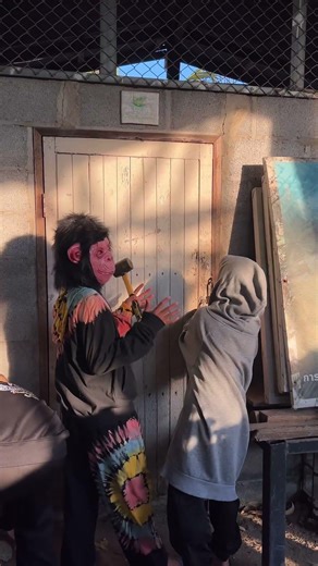 Monkey invasion 🐒🚨 #bkcity #funny