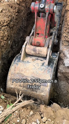 Rainbow Root Digging Techniques Explained