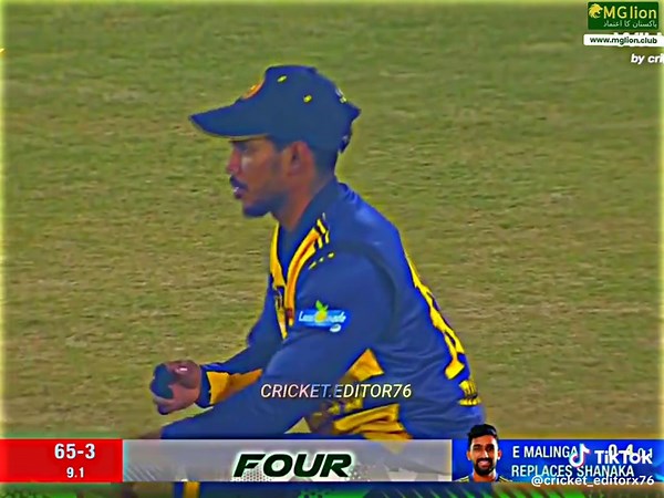 Understanding Bat Sounds in Cricket