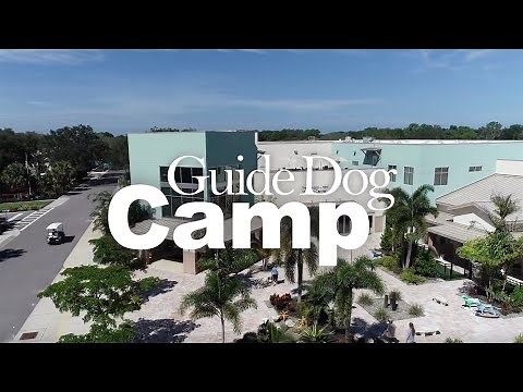 Guide Dog Camp
