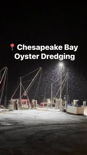 Dredging for wild oysters with Captain James Lynch and Bobby Washington on New Year's Eve 2025. #Seafood #workingthewater #chesapeakebay | Jay Fleming