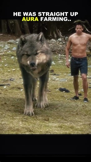 "WOLF AURA FARMING " | The Twilight Saga: New Moon | NO BATIDÃO (super slowed)