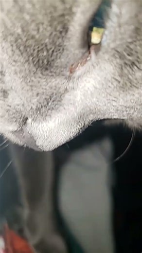 Gary nighttime bed yes thats the title