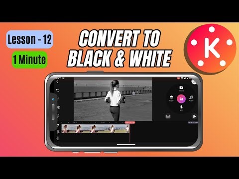 How to Scale or Zoom a Video Clip in KineMaster - Lesson 12 KineMaster Tutorial