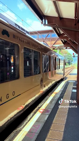 Trik Cepat Lewat Imigrasi Jepang Tanpa Antri Lama