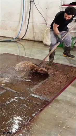 oddly dirty red carpet cleaning satisfyingASMR#rugcleaning#carpetcleaning555#satisfying#rugwashing