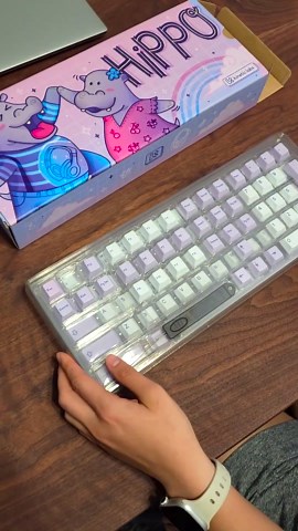 Custom keycaps are too expensive, so I buy these instead