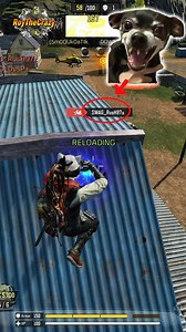 Meow went to farm just for a cup of coffee ☕️😂 #meow #CODMobile #codm #funny #gaming | RoytheCrazy