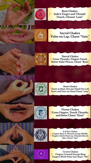 Chakra Mudras !!! #chakras #chakra #chakrahealing #chakrabalancing #heartchakra #rootchakra #crownchakra #chakrastones #throatchakra #thirdeyechakra #chakrabalance #sacralchakra #chakrasana #7chakras #chakraalignment #solarplexuschakra #chakrajewelry #chakracleansing #chakrasaligned #rheachakraborty #chakrameditation #abhinayachakravarthy #chakrahealingvibes #chakrabracelet #chakracrystals #anahatachakra #chakrastone #chakravarthy #mithunchakraborty #highchakras #heartchakrahealing #sevenchakras