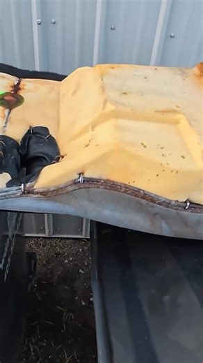 Making a Once Flooded Cobra Legal to Drive on the Roads! | Auto Auction Rebuilds