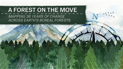 Boreal Forests Are Shifting North - NASA Science