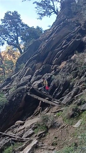 Adventure in the wild | #travel #adventure #shorts #wildlife @ast-38