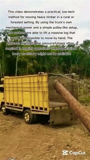 Work Smarter, Not Harder: Low-Tech Logging Solutions