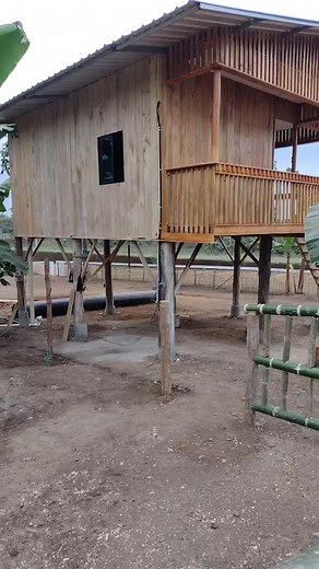 Rustic Wooden Structure with Natural Design