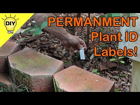 DIY Permanent Plant Labels Fade-Resistant, Engraved Garden Markers