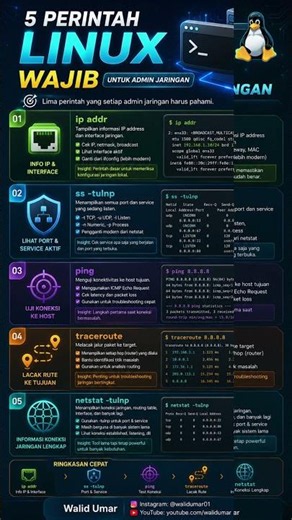 🔥 5 Essential Linux Commands for Network Admins
