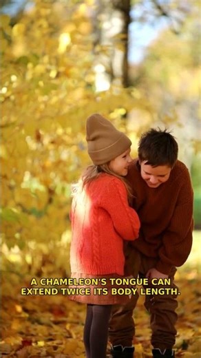 Unraveling the incredible secrets of the chameleon