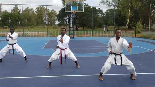 Inspiration through Karate Kata