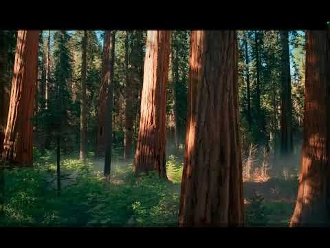 Lecture 8 Serial Peripheral Interface 03022026