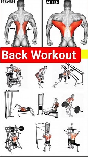 Best Back Workout for Strength & Definition 🔥