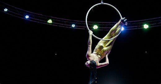 Allemagne : une trapéziste du cirque de Bautzen chute et décède en plein spectacle