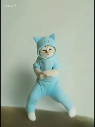 유행 막차 탑승 #챌린지 #고양이 #뮤직뮤직