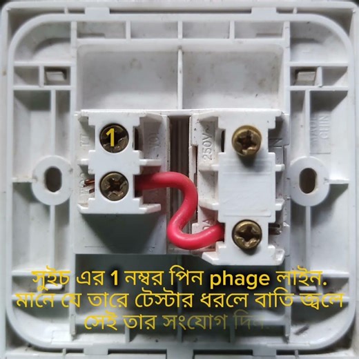 Simple Socket Connection | Basic Electrical Tips #Shorts #ElectricTips #SocketConnection
