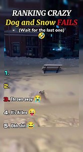 Ranking Crazy Dog and snow Fails 😂