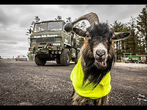 WATCH 1986 55 TONNE FODEN RECOVERY VEHICLE