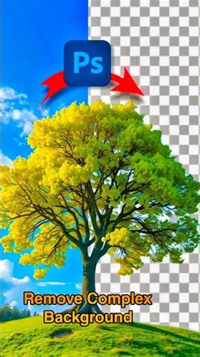 Remove ANY Complex Background in Seconds! 🌳 #Photoshop