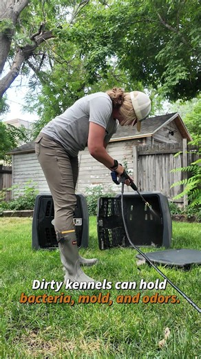 My dog kennel is GROWING WHAT!? #dog #birddog #kennel #dogtraining