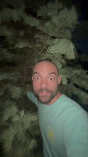 My Magic Yoohoo Tree