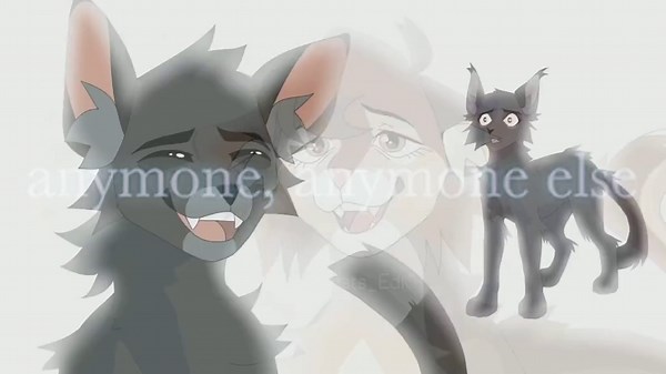 NightCloud - El Guerrero de los Gatos