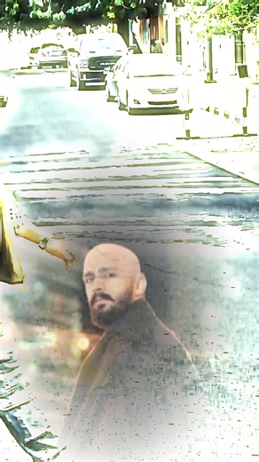 Understanding the Hanja Language in Modern Use