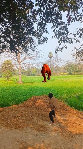 Big Dinosaur 🦖 chase T-Rex attack part 59 #dinosaur #vfx #viral #shots #video #new #trending